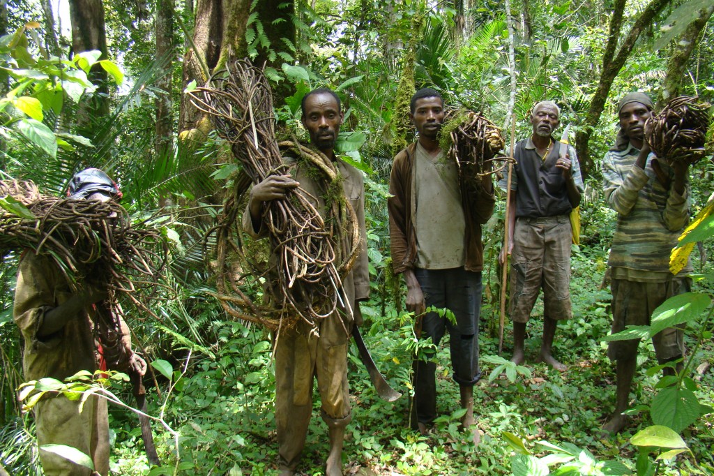 Ethiopia04