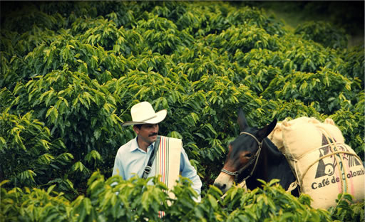 colombia_coffee03